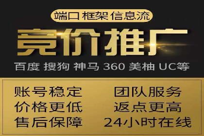 行业领先SEM托管代运营案例